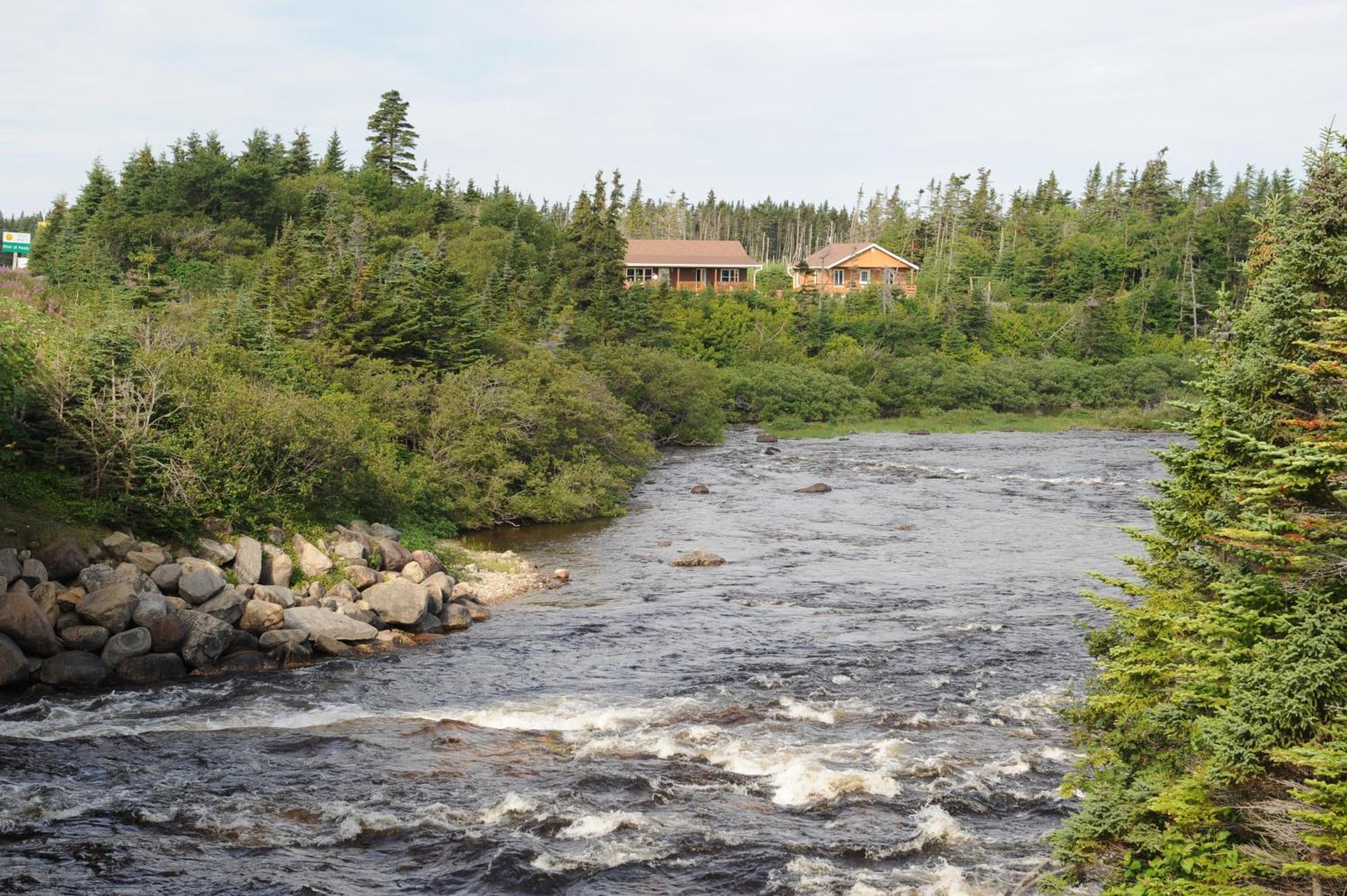 Riverside Chalets River of Ponds Eksteriør billede